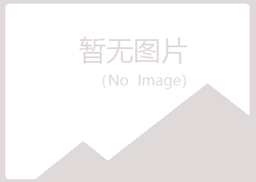 青岛崂山翠彤金融有限公司